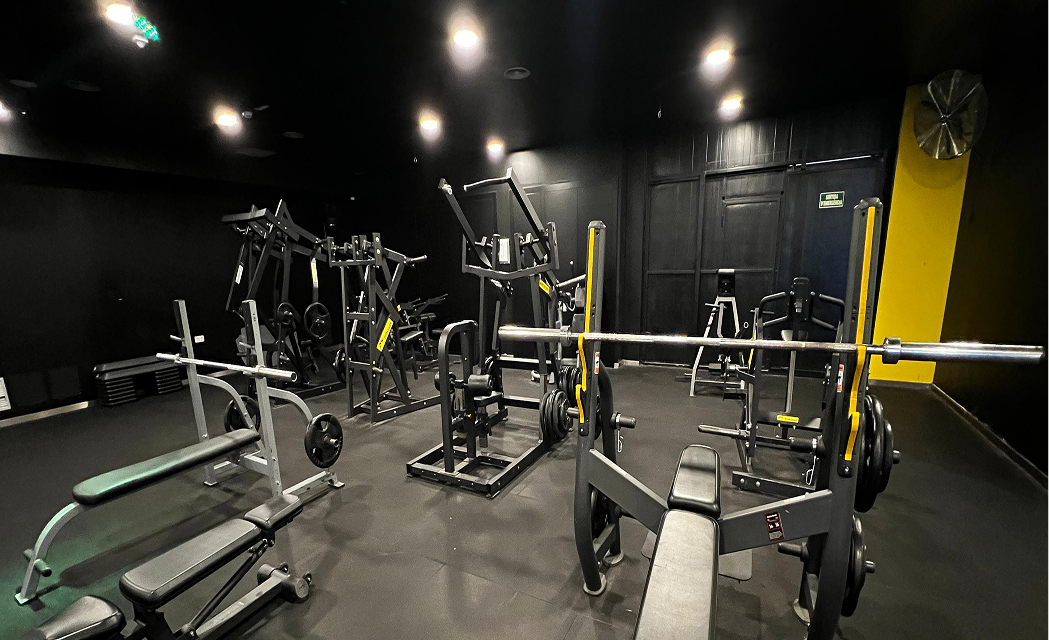 3mpg_image 8 (4).png